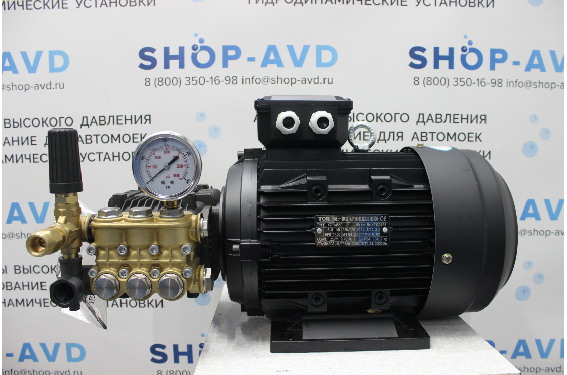 Моноблок Тритон T 15/200 BP 5.5 T