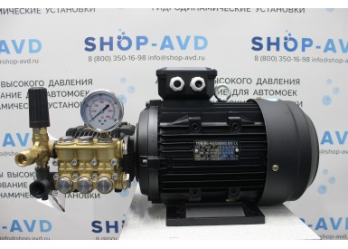 Моноблок Тритон T 15/200 BP 5.5 T