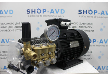 Моноблок Тритон T 15/200 BP 5.5 T