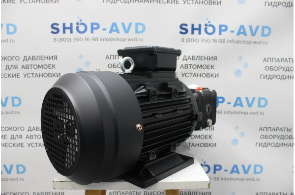 Моноблок Тритон T 15/200 BP 5.5 T