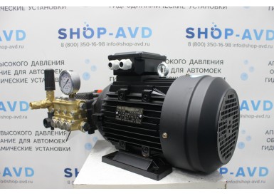 Моноблок Тритон T 15/200 BP 5.5 T