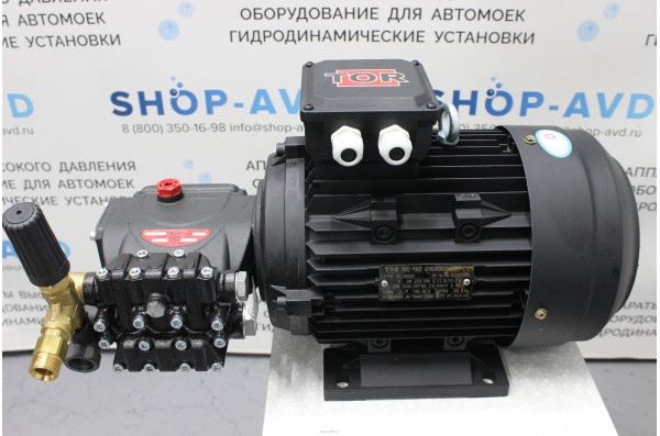 Моноблок Тритон IP 13/180 BP 5 T