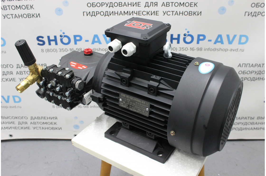 Моноблок Тритон IP 13/180 BP 5 T