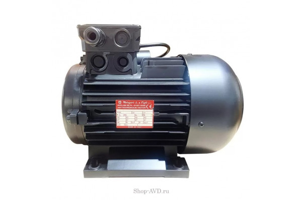 Двигатель 5.5 кВт, 400/230В, H112 полый вал d24мм, фланец насоса 75 мм