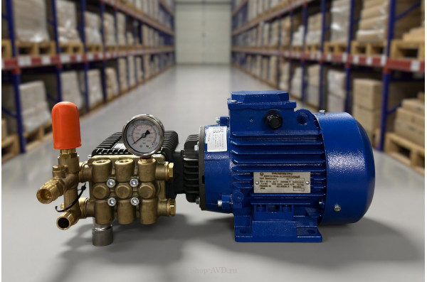 Моноблок Тритон BR WJC 7/100 BP 1.1(без электрики с манометром)