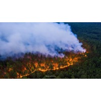 Лесные пожары в России — способы тушения