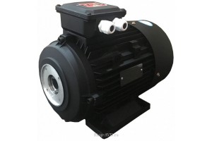 TOR H112 HP 7.5 2P MA AC KW 5,0 2P - электродвигатель для помпы высокого давления