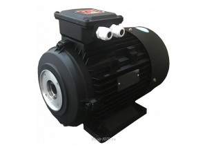 TOR H112 HP 7.5 2P MA AC KW 5,0 2P - электродвигатель для помпы высокого давления