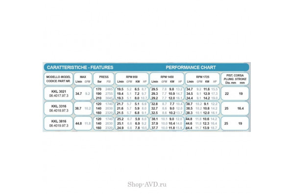 Насос Bertolini KKL 4216