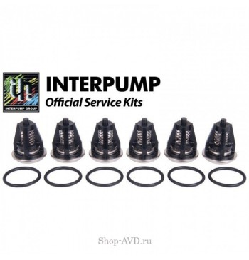 Ремкомплект Interpump Kit 62