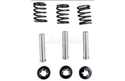 Ремкомлект плунжеров AACA-3 (KIT) для AN-149/TR-149 и AN-159/TR-159