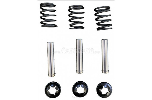 Ремкомлект плунжеров AACA-3 (KIT) для AN-149/TR-149 и AN-159/TR-159