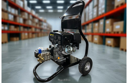 АВД Тритон AR 15/275 ВР 8.5  (Бензиновый, на тележке)