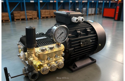 Моноблок TOR 15/20 BP 5.5 TOR ( + манометр)