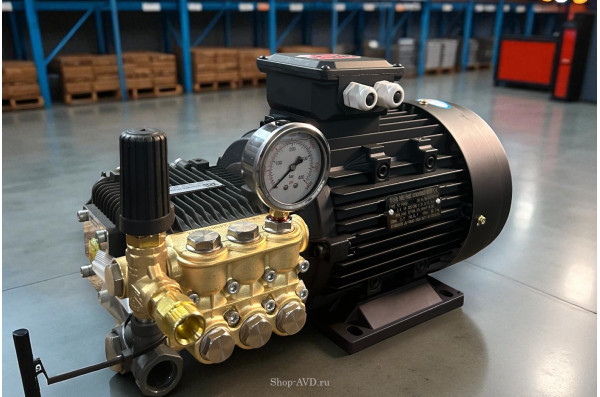 Моноблок TOR 15/20 BP 5.5 TOR ( + манометр)