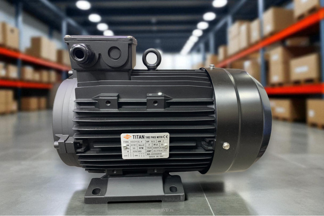 Электродвигатель Titan (7кВт, 380/220В, 1450об/мин, п.в. 24мм, Dфл 87/61мм, H112L)