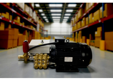 Моноблок Тритон T21/250 BP 12.5 TI