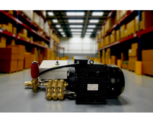 Моноблок Тритон T21/250 BP 12.5 TI Моноблок Тритон T21/250 BP 12.5 TI