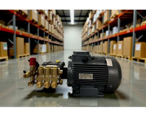 Моноблок Тритон B 15/200 TS 5.5 (без электрики)