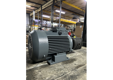 Моноблок Тритон B 15/200 TS 5.5 (без электрики)