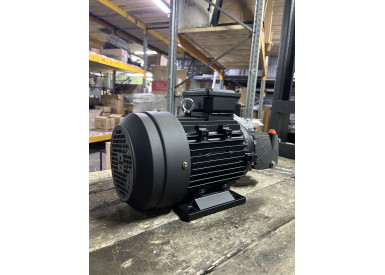 Моноблок Тритон T 15/200 TS 5.5 T (без электрики)