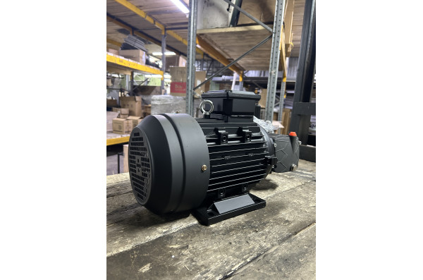 Моноблок Тритон T 15/200 TS 5.5 T (без электрики)