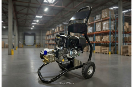 АВД Тритон AR 15/275 ВР 11.0 (на тележке)