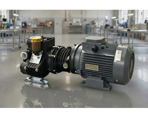 Моноблок Тритон PA 530 VF IMM 5.5 (без регулятора)