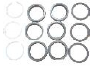 Комплект водяных уплотнений + направляющие кольца ZS1550N