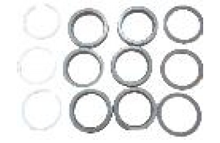 Комплект водяных уплотнений + направляющие кольца ZS1550N