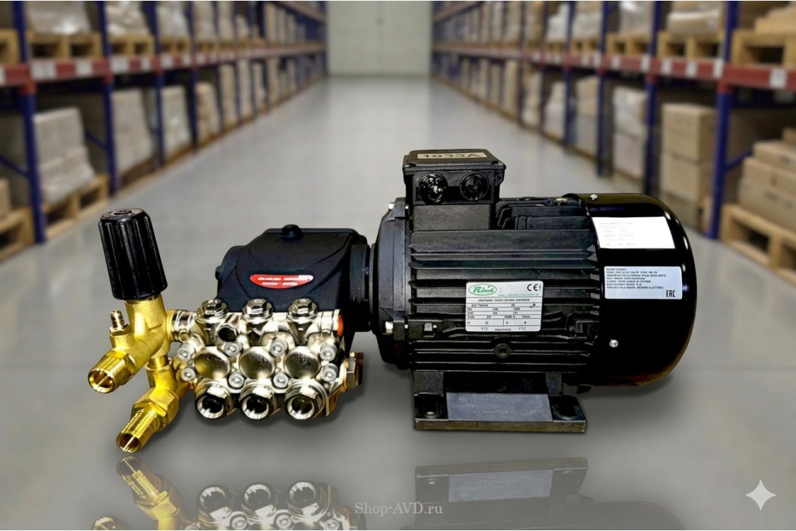 Моноблок TOR 15/200 BP 5.5 T (с манометром)