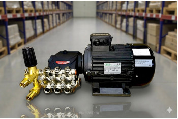 Моноблок TOR 15/200 BP 5.5 T (с манометром)