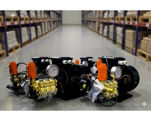 Моноблок TOR 15/200 BP 5.5 T (с манометром)