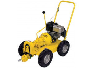 Electric Eel 325