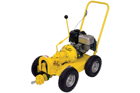 Electric Eel 325