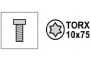 Крепежное изделие форсункодержателя (саморез) TORX 10x75 (звёздочка)