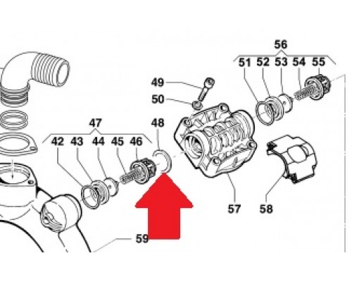 Кольцо 48,5х33,5х2,5 INOX AISI316 насоса BP 115/135/241/281 (1х6)