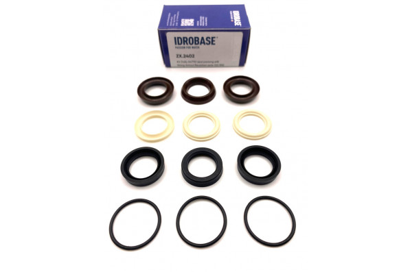 KIT 47110 Комплект водяных уплотнений для Annovi Reverberi Serie 322 RR Ø18 мм, ZX.2402, Италия IDROBASE