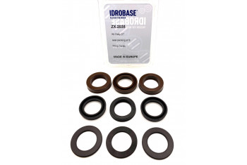 DPF-18 KIT 4 для DANAU DBD, DBF, DBQ Комплект водяных уплотнений, Ø18 мм, ZX.2035, Италия IDROBASE