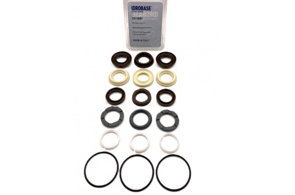 42171 KIT Комплект водяных уплотнений для Annovi Reverberi series 298 RW, RG, RGA 18 мм, ZX.0887, Италия IDROBASE