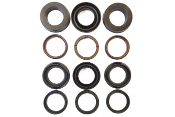 Комплект манжет ТехУм аналог KIT для Bertolini TML 1220-2020 с восстановленной головкой, Ø18 мм