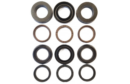 Комплект манжет ТехУм аналог KIT для Bertolini TML 1220-2020 с восстановленной головкой, Ø18 мм