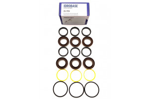 07.9807.97.3/KIT 76 Комплект водяных уплотнений для Bertolini TML 1220-2020, TMH 3036-3055 Ø18 мм, ZX.1793, Италия IDROBASE