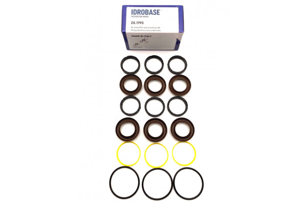 07.9807.97.3/KIT 76 Комплект водяных уплотнений для Bertolini TML 1220-2020, TMH 3036-3055 Ø18 мм, ZX.1793, Италия IDROBASE