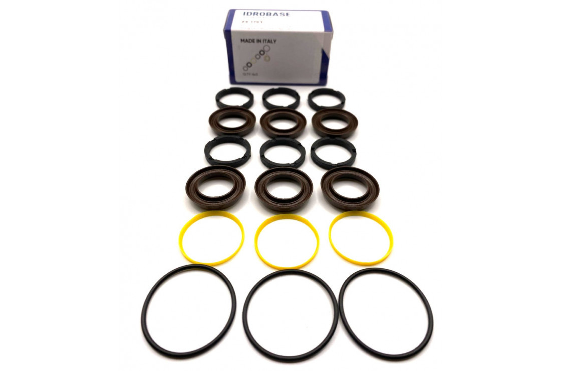 07.9807.97.3/KIT 76 Комплект водяных уплотнений для Bertolini TML 1220-2020, TMH 3036-3055 Ø18 мм, ZX.1793, Италия IDROBASE