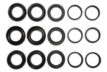 Комплект манжет ТехУм аналог KIT 102, 5019003900/50190039 для Comet FW2, Ø20 мм