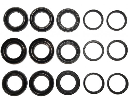 Комплект манжет ТехУм аналог KIT 102, 5019003900/50190039 для Comet FW2, Ø20 мм