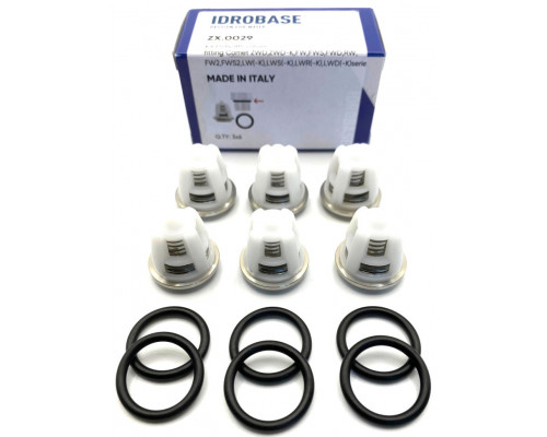 5025001100 Комплект клапанов для Comet FW2, FWS2, RW, LS, ZWD, ZWD-K, LW(-K), LWS(-K), LWR(-K), LWD(-K), FW, FWS, FWD, ZX.0029, Италия IDROBASE