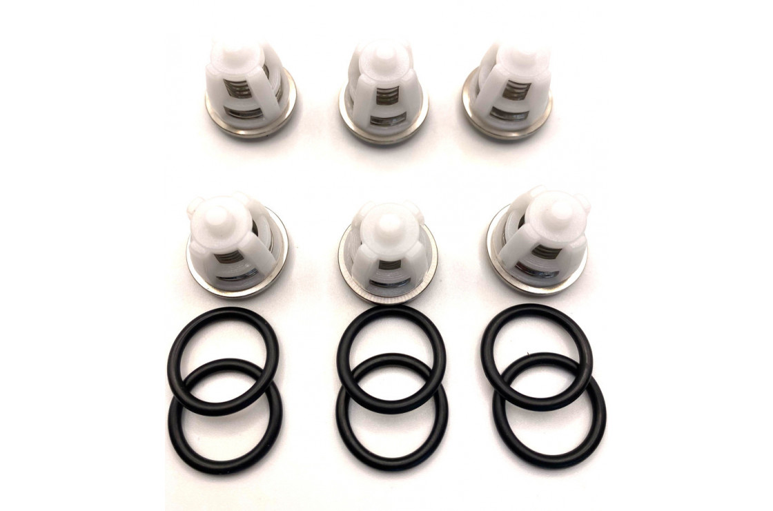 5025001100 Комплект клапанов для Comet FW2, FWS2, RW, LS, ZWD, ZWD-K, LW(-K), LWS(-K), LWR(-K), LWD(-K), FW, FWS, FWD, ZX.0029, Италия IDROBASE