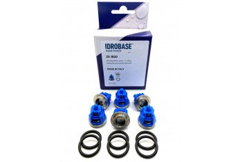 KIT 123 TML, TM, RAL, RB Комплект клапанов для Bertolini, ZX.1820 Италия IDROBASE